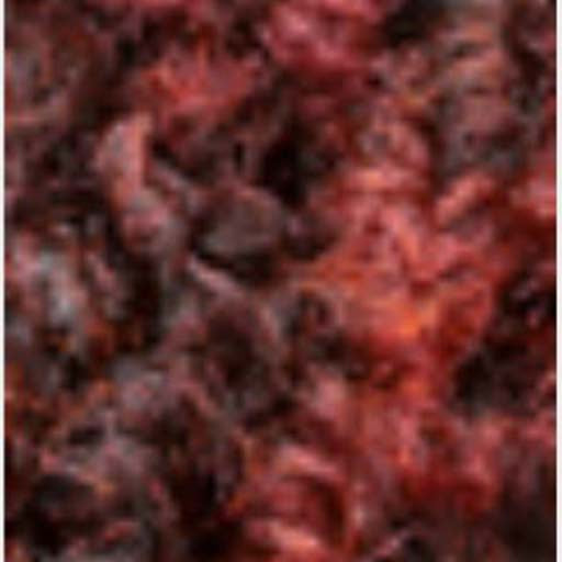 Natural Curly - Natural Afro Neha | Miami Beauty Supply