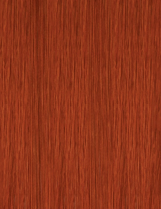X-Pression Twisted Up Type 4 Soft & Natural Frappe 10" 3x