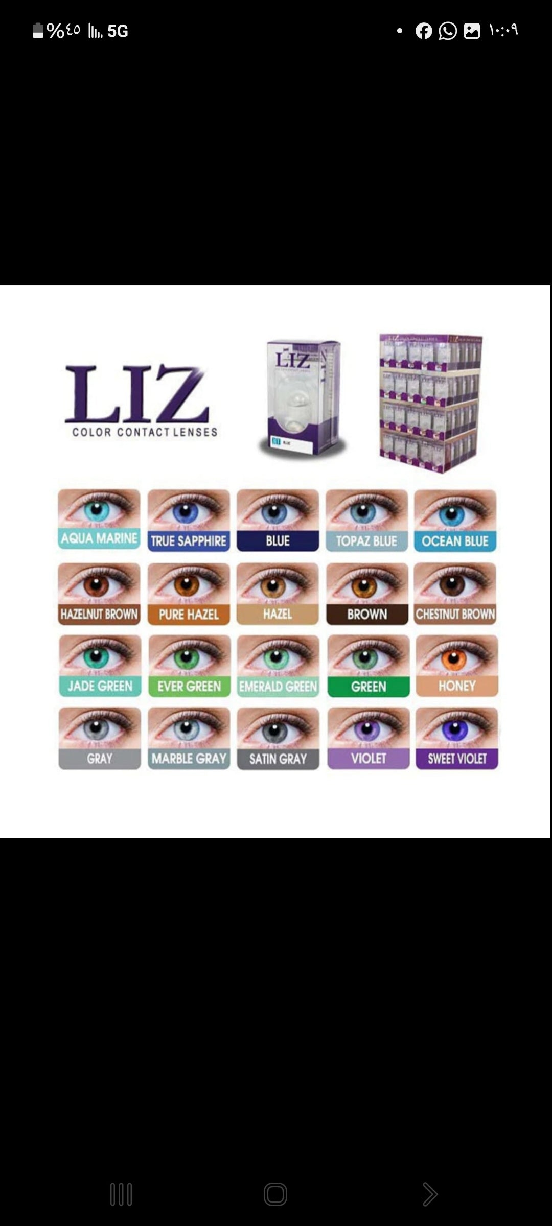 LIZ Color Contact Lense #BROWN