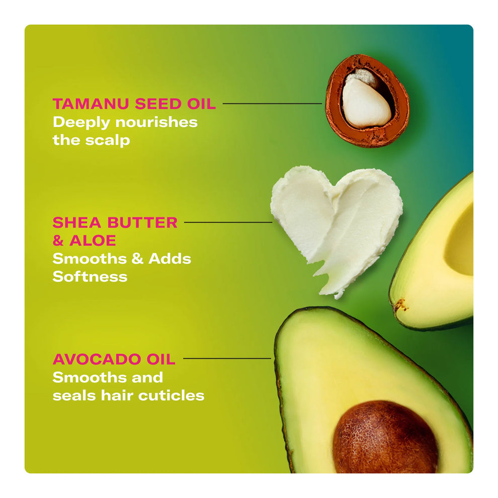 MIELLE Avocado & Tamanu Anti Frizz Shampoo (12oz)