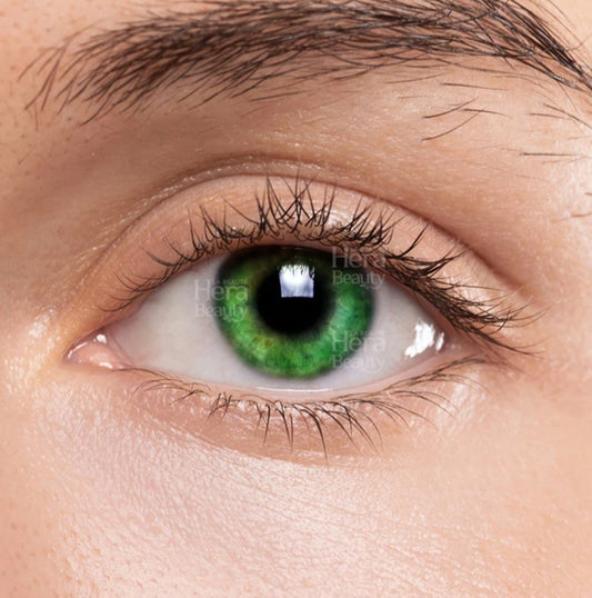 LIZ Color Contact Lense #EVER GREEN