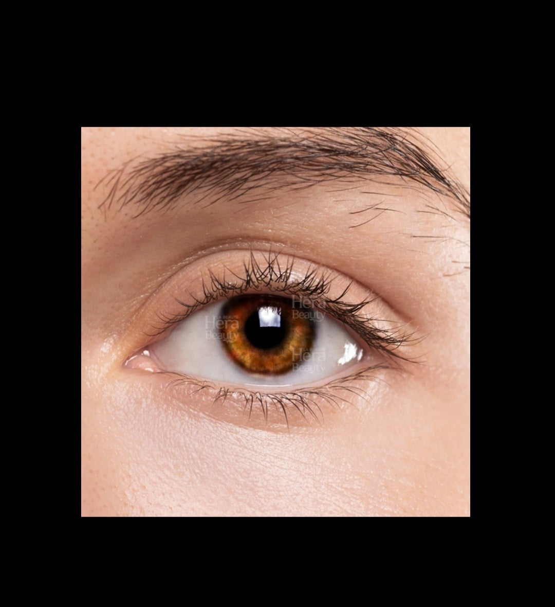 LIZ Color Contact Lense #BROWN