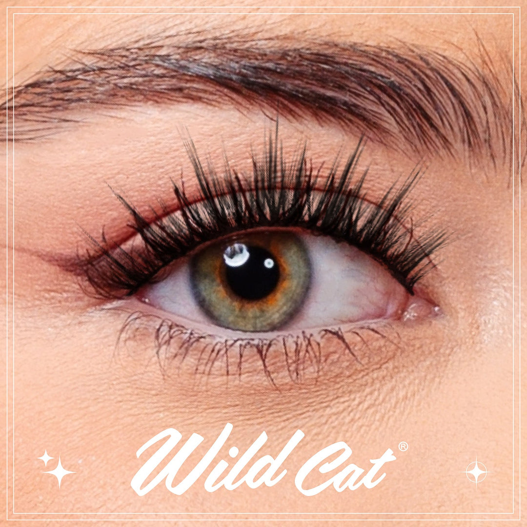 CATTITUDE Lashes - Wild Cat